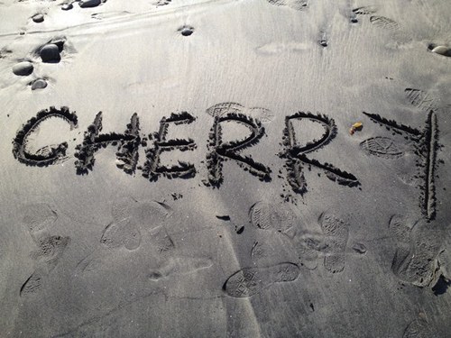 jkcherryfamily's profile picture. 