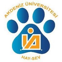 akühaysev (@akuhaysev) 's Twitter Profile Photo akühaysev (@akuhaysev) 's Twitter Profile Photo