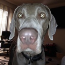 Amber Shriver - @Marzs_Mom - Twitter