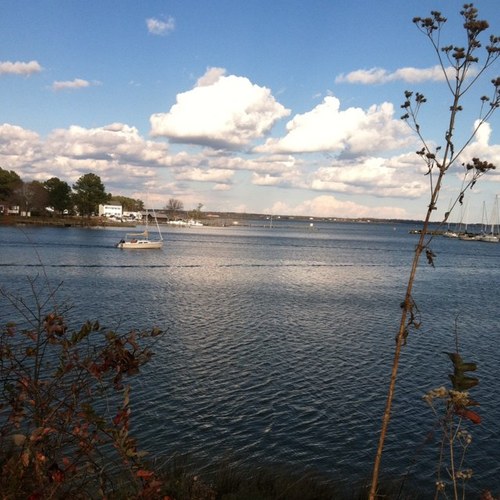 smythnative's profile picture. 