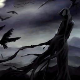 principenoctuno's profile picture. 