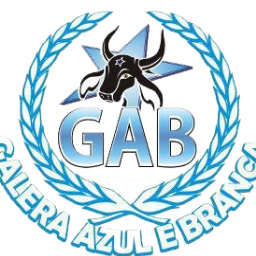Grupo de Torcedores Apaixonados Pelo Boi Caprichoso.