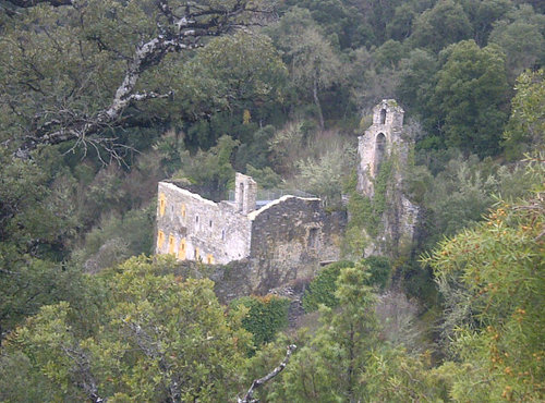 oluram's profile picture. 