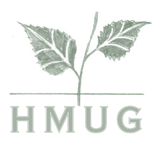 HMUG_Hackney Profile Picture