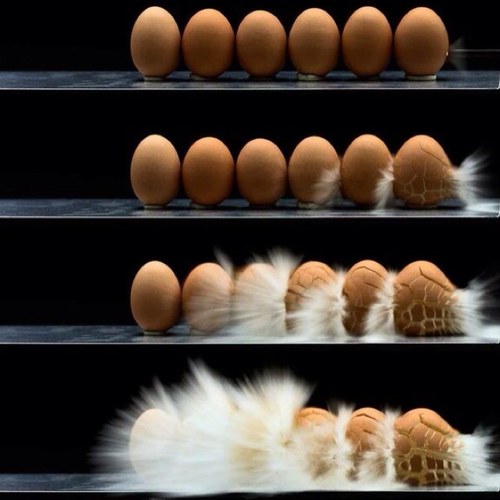 dponssi's profile picture. Gastronomia, Gastrologia, Holisme, Hedonisme... Potser tot... 🤔😜