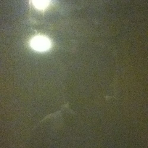 Everone that doubt me is askin for for forgiveness. If you aint been apart of this at least you got witness. BITCHES.