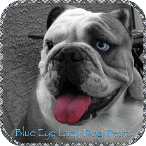 blueeyeladydog's profile picture. Blue Eye Lady Dog
