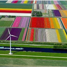 WindyFarms's profile picture. Winds | Renewables | Energies | Alternatives | 
WindyFarms is a natural partner to promotion of natural and renewable energy.