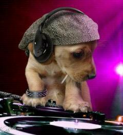 djcachorro169's profile picture. 