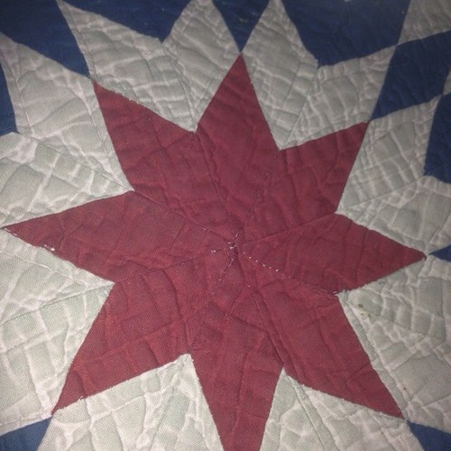 plates35's profile picture. 