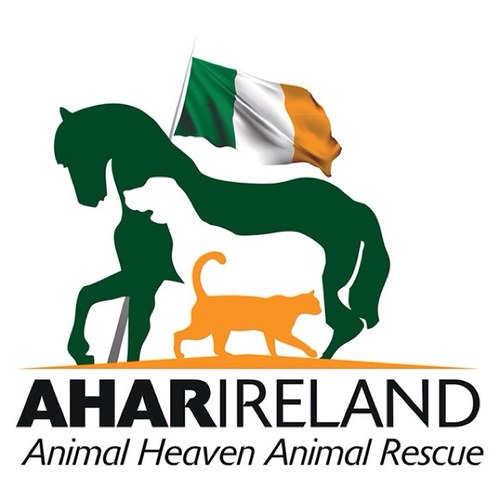 Caring for the welfare of animals all over Ireland.