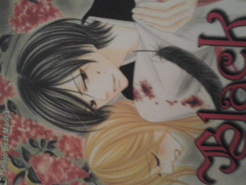 I'm a demon. I want to protect Misao and make her my bride. I'm also head of the tengu demon clan.