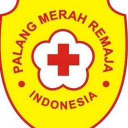 PMR WIRA 271