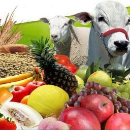 Sou estudante do curso técnico em agropecuária, fiz este twitter para falar de mim em meio a agropecuária e falar é claro da agropecuária.
