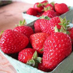 Haliburton Community Organic Community farm: 12 farmers, 5 farms and a seedling nursery We educate, propagate and celebrate.. and grow great food!