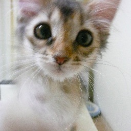 koutouteruyuki's profile picture. どさんこ魂！ フォロー＆リツイートお願いします。