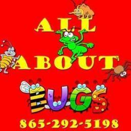 All About Bugs is a premier pest & termite control business serving counties in East Tennessee. We offer competitive pricing & personal service.