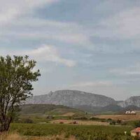 MAS AMIEL (@masamiel) 's Twitter Profile