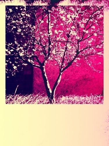 turquoisedrew's profile picture. 