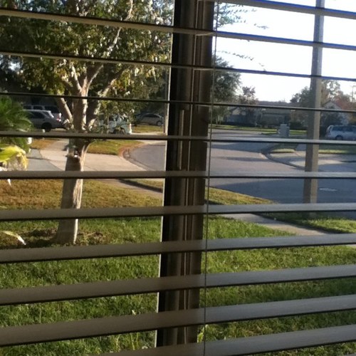 _dameletra_'s profile picture. 96 % de mi organismo se compone de oxígeno, carbono, hidrógeno y nitrógeno; el otro 4% es de un planeta cuyo nombre desconozco.