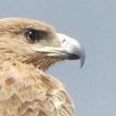 Benjamin Chassé - @BenjaminChass - Twitter