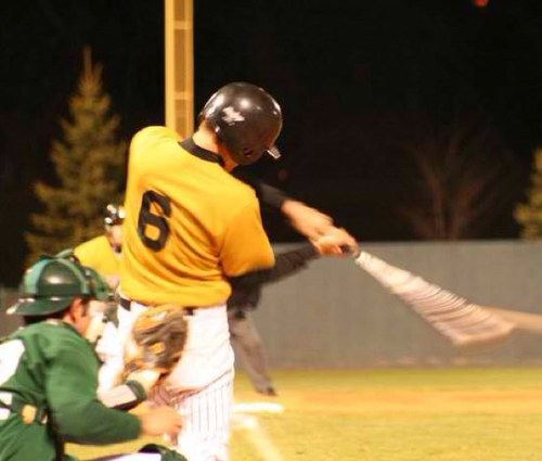 Wvsu baseball #6