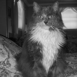 firstmateslot's profile picture. 