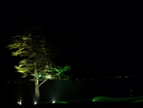 Bull0861's profile picture. 