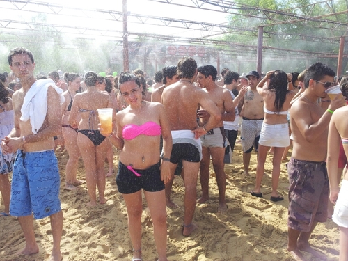 florcalles's profile picture. 