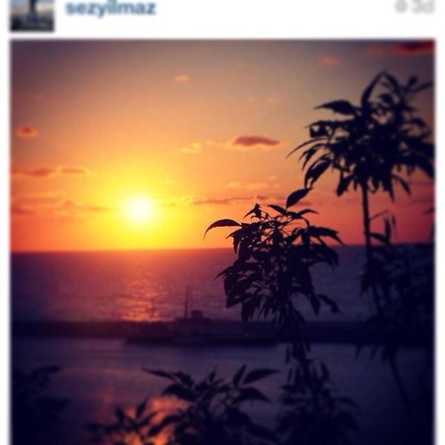 ocbeachica's profile picture. Crazy-Life of the Party!