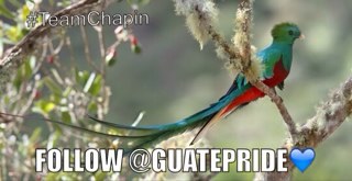 Guate? follow us we post in spanish/english. but mostly important we post things that can relate to you :) date made- 71212