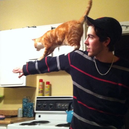 BrandonMeatscam's profile picture. The Only Constant Is Change