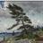FineArtCollectr's profile image