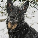 Kelli Norton - @Rocketman7126 - Twitter