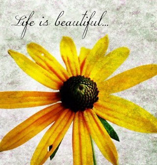 jnavarro1266's profile picture. 