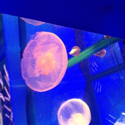 openfield0330's profile picture. 店舗/住宅　内装施工会社/オーダー家具製作及び古道具の販売