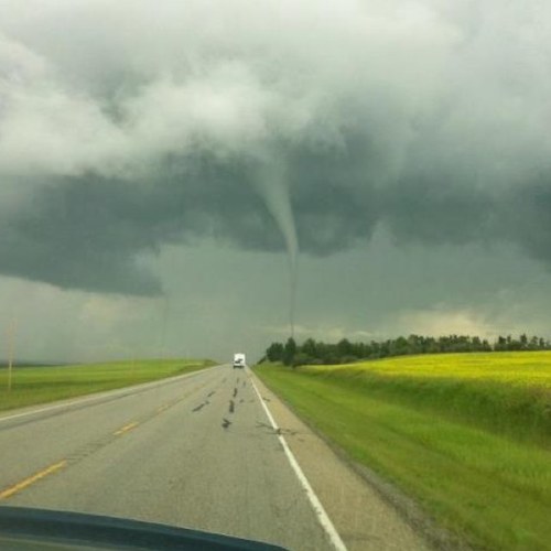 Tdgunner69's profile picture. 