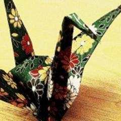 teakbird's profile picture. 