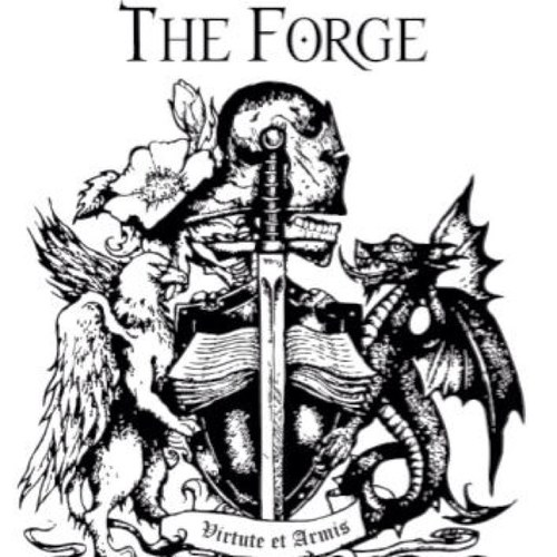 WmaForge's profile picture. Come and explore the world of Western Martial Arts! From the lethal longsword, to the science of boxing, to the CQB methods of grappling and knife fighting.