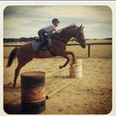 Hayley Dunn - @showjumper2 - Twitter