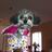 ZoeyV1's profile image