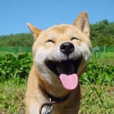 癒し癒され Iyashi13 Twitter 癒し癒され Iyashi13 Twitter