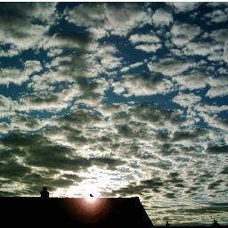 JoycePaterson's profile picture. Art, doing stuff...