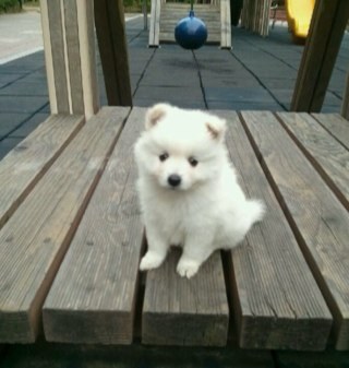 kimkn1122's profile picture. 