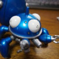 尾紗山猫 (@yamaneko02) 's Twitter Profile Photo