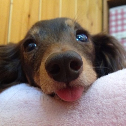 futabamwam's profile picture. 