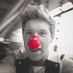 TeamNiallerJH's profile picture. Brothers and sisters ... We share the GREAT BIG FAMILY called DIRECTIONERS! *. * Follow me if you are now on my profile. ;) - /Poland/One Direction and JB/