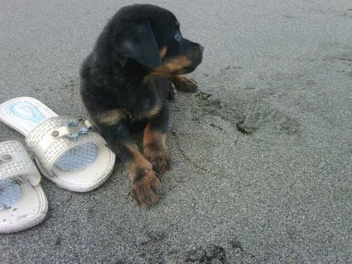 Anygo1's profile picture. 