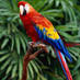 Parrots Lover (@parrots_lover) Twitter profile photo