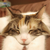 denirako9 (@denirako9) Twitter profile photo denirako9 (@denirako9) Twitter profile photo